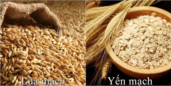 Bột l&uacute;a mạch v&agrave; yến mạch thường được sử dụng trong c&ocirc;ng thức l&agrave;m b&aacute;nh