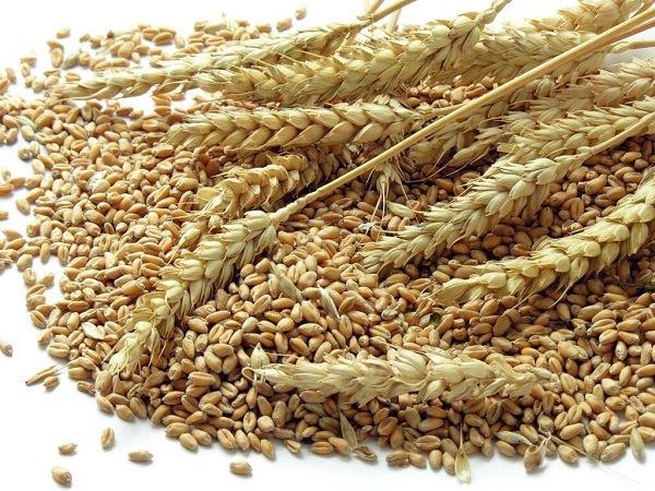 Bột m&igrave; được l&agrave;m từ hạt l&uacute;a m&igrave; hoặc c&aacute;c loại hạt ngũ cốc kh&aacute;c nghiền n&aacute;t
