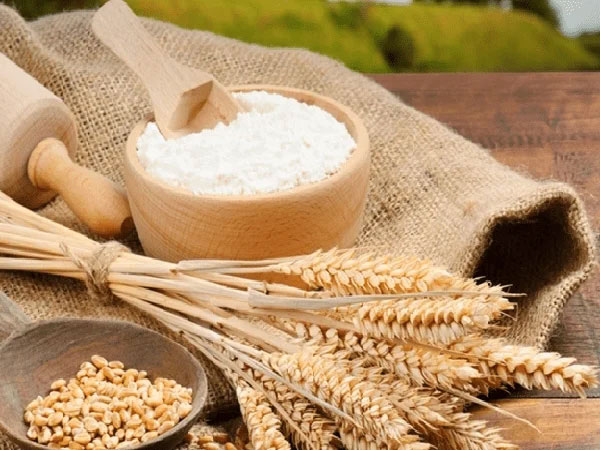 Bột m&igrave; l&agrave; nguy&ecirc;n liệu l&agrave;m b&aacute;nh trung thu kh&ocirc;ng thể thiếu